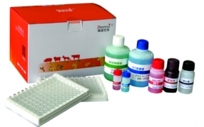 猪瘟抗体检测试剂盒(阻断ELISA)