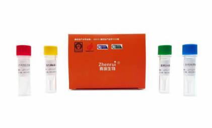 禽流感病毒（H5、H7、H9型）检测试剂盒（三色实时荧光PCR法）