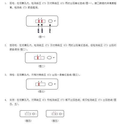 狂犬病毒抗体胶体金快速检测卡